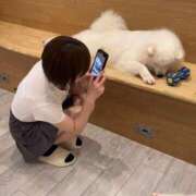 ヒメ日記 2025/08/29 01:20 投稿 かなの【経験極浅アイドル美女】 STELLA NEXT－ステラネクスト－