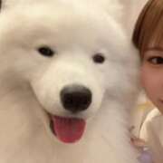 ヒメ日記 2025/09/11 21:57 投稿 かなの【経験極浅アイドル美女】 STELLA NEXT－ステラネクスト－