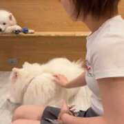 ヒメ日記 2025/09/27 22:37 投稿 かなの【経験極浅アイドル美女】 STELLA NEXT－ステラネクスト－