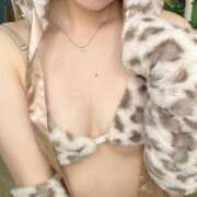 ヒメ日記 2025/10/04 04:11 投稿 かなの【経験極浅アイドル美女】 STELLA NEXT－ステラネクスト－