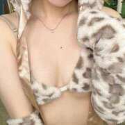 ヒメ日記 2025/11/07 20:53 投稿 かなの【経験極浅アイドル美女】 STELLA NEXT－ステラネクスト－