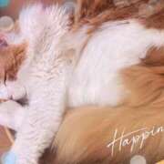 ヒメ日記 2025/07/25 17:56 投稿 ありか 池袋あられ