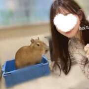 ヒメ日記 2025/12/27 17:04 投稿 有馬けいな アロマファンタジー高輪