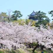 ヒメ日記 2026/03/28 22:03 投稿 福原 れいこ HANA-okinawa-