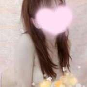 ヒメ日記 2026/04/26 07:42 投稿 福原 れいこ HANA-okinawa-