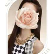 ヒメ日記 2026/04/29 07:18 投稿 福原 れいこ HANA-okinawa-