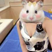 ヒメ日記 2025/07/13 15:16 投稿 かおり Я’s SPEC2