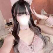 ヒメ日記 2025/12/14 16:18 投稿 もね【アイドル級S級美女】 STELLA TOKYO－ステラトウキョウ－