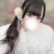 ヒメ日記 2026/02/19 15:47 投稿 もね【アイドル級S級美女】 STELLA TOKYO－ステラトウキョウ－