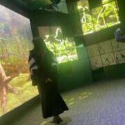 ヒメ日記 2026/03/14 19:23 投稿 らいむ Love Fantasy（ラブファンタジー）