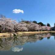 ヒメ日記 2026/04/04 17:15 投稿 らいむ Love Fantasy（ラブファンタジー）