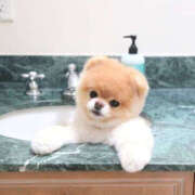 ヒメ日記 2025/07/21 19:35 投稿 竹千代★ 恵里亜(エリア)