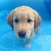 ヒメ日記 2025/07/27 14:42 投稿 竹千代★ 恵里亜(エリア)