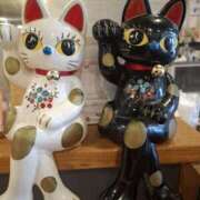 ヒメ日記 2025/08/24 16:51 投稿 竹千代★ 恵里亜(エリア)