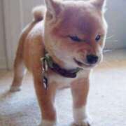 ヒメ日記 2025/09/06 14:30 投稿 竹千代★ 恵里亜(エリア)