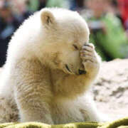 ヒメ日記 2025/09/26 09:48 投稿 竹千代★ 恵里亜(エリア)