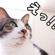 ヒメ日記 2025/11/10 17:59 投稿 竹千代★ 恵里亜(エリア)