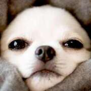 ヒメ日記 2025/12/06 08:29 投稿 竹千代★ 恵里亜(エリア)