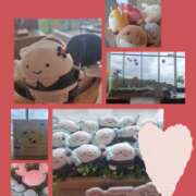 ヒメ日記 2026/01/25 17:44 投稿 竹千代★ 恵里亜(エリア)