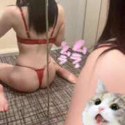 ヒメ日記 2025/09/17 19:14 投稿 まこと【素人女子】 Select(セレクト)