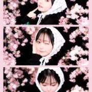 ヒメ日記 2026/04/17 21:45 投稿 まこと【素人女子】 Select(セレクト)