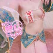 ヒメ日記 2025/10/12 09:11 投稿 ねねこ ミスターダンディ パート2