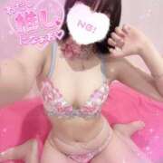 ヒメ日記 2025/10/25 17:01 投稿 ねねこ ミスターダンディ パート2