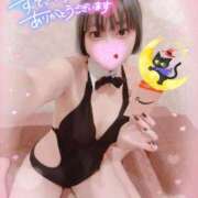 ヒメ日記 2025/11/03 15:41 投稿 ねねこ ミスターダンディ パート2