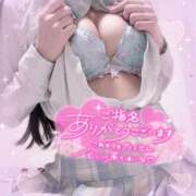 ヒメ日記 2025/11/19 15:25 投稿 ねねこ ミスターダンディ パート2