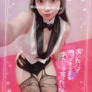 ヒメ日記 2025/11/23 09:46 投稿 ねねこ ミスターダンディ パート2