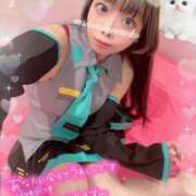 ヒメ日記 2025/11/26 23:23 投稿 ねねこ ミスターダンディ パート2