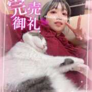 ヒメ日記 2025/11/30 11:35 投稿 ねねこ ミスターダンディ パート2