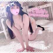 ヒメ日記 2025/12/11 12:05 投稿 ねねこ ミスターダンディ パート2