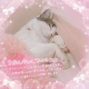 ヒメ日記 2026/02/27 13:48 投稿 ねねこ ミスターダンディ パート2