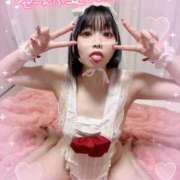 ヒメ日記 2026/04/10 21:33 投稿 ねねこ ミスターダンディ パート2