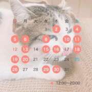 ヒメ日記 2026/07/01 17:18 投稿 ねねこ ミスターダンディ パート2
