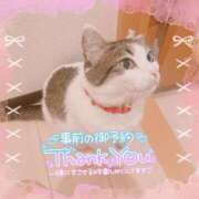 ヒメ日記 2026/10/09 13:31 投稿 ねねこ ミスターダンディ パート2