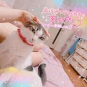 ヒメ日記 2025/07/16 20:49 投稿 ねねこ 吉原クラブ ジェントルマン