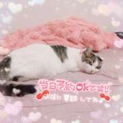 ヒメ日記 2025/09/20 12:45 投稿 ねねこ 吉原クラブ ジェントルマン