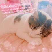 ヒメ日記 2025/09/23 19:11 投稿 ねねこ 吉原クラブ ジェントルマン