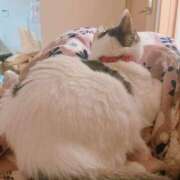 ヒメ日記 2025/12/21 20:56 投稿 ねねこ 吉原クラブ ジェントルマン