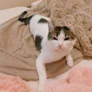 ヒメ日記 2026/01/09 18:09 投稿 ねねこ 吉原クラブ ジェントルマン