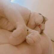 ヒメ日記 2026/02/02 23:56 投稿 ねねこ 吉原クラブ ジェントルマン