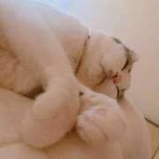 ヒメ日記 2026/02/03 18:02 投稿 ねねこ 吉原クラブ ジェントルマン