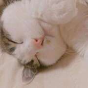 ヒメ日記 2026/04/09 23:56 投稿 ねねこ 吉原クラブ ジェントルマン