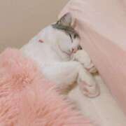 ヒメ日記 2026/04/16 23:53 投稿 ねねこ 吉原クラブ ジェントルマン