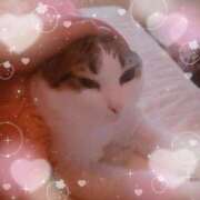 ヒメ日記 2026/05/09 11:51 投稿 ねねこ 吉原クラブ ジェントルマン