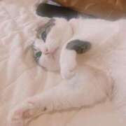 ヒメ日記 2026/05/30 22:07 投稿 ねねこ 吉原クラブ ジェントルマン