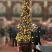 ヒメ日記 2025/12/14 17:54 投稿 姫野 かなめ☆2 TiAmo（ティアモ）