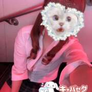 ヒメ日記 2026/02/08 20:17 投稿 くう banana